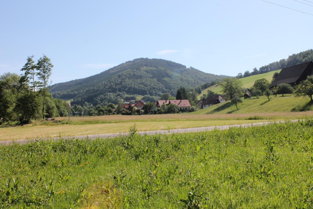 Hotel Haus Traudel Matt Elzach Exterior foto